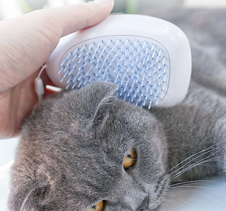 Grooming Brushes